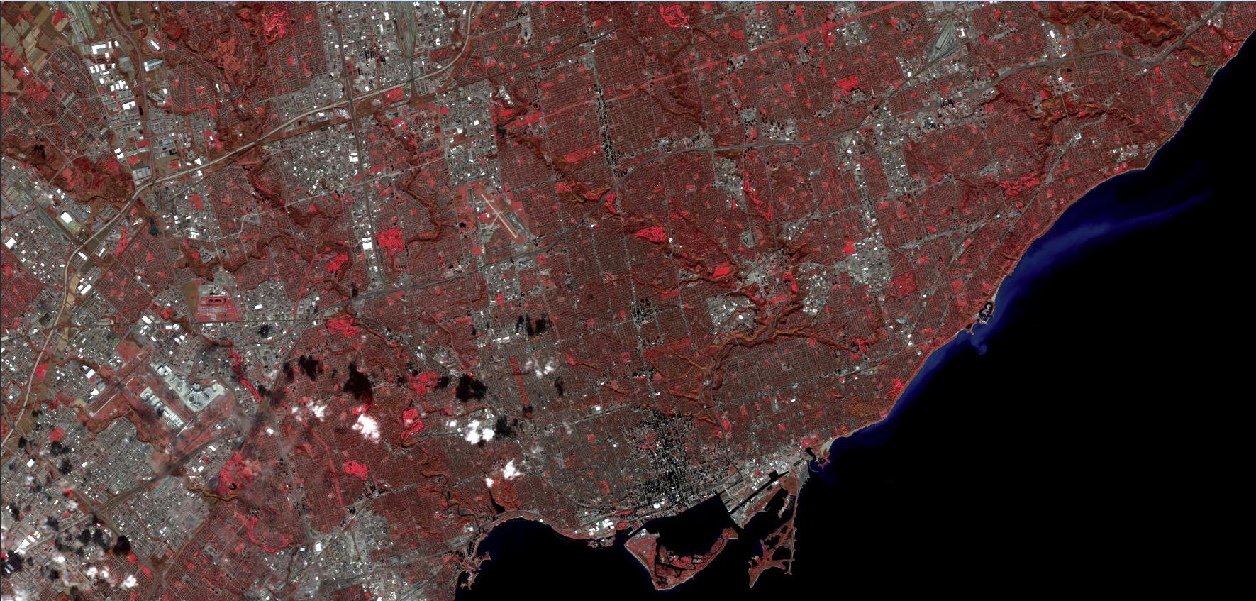 Toronto Ravines